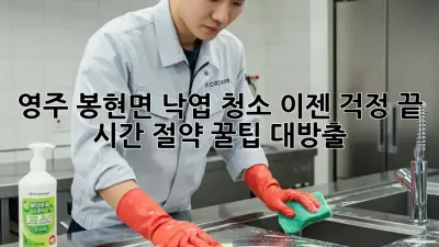 영주 봉현면 낙엽 청소, 이젠 걱정 끝! 시간 절약 꿀팁 대방출!
