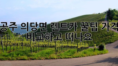 공주 의당면 렌트카 꿀팁🍯 가격 비교하고 떠나요!